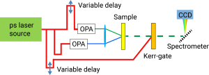 The figure shows a typical layout for a time-resolved Raman spectroscopy experiment, with OPAs driven by the 1,030nm output (red) of an ytterbium amplifier.  The pump laser (blue) initiates a change within the sample, the dynamics of which are probed by a second time delayed beam (green) “probe” beam. Raman scatter (green dotted line) from the sample is collected and directed to the spectrometer with CCD detector. A Kerr-gate system driven by a time delayed third beam from the laser output can be used to remove fluorescence background from the Raman signal.​