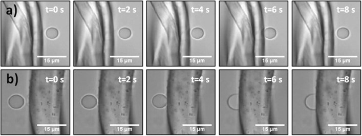 Atomic force microscopy images of an oil droplet approaching cotton resulting in no adhesion, verses polyester resulting in adhesion.