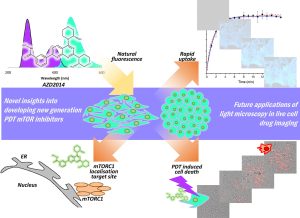 Infographic illustrating the development and application of fluorescent PDT mTOR inhibitors, showing spectra, cellular uptake, mTORC1 localisation, and microscopy images linked by directional arrows.