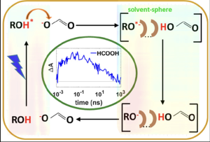 Reaction schematic showing photoexcited alcohol species and solvent‑sphere interactions, with arrows indicating reaction pathways and a central graph plotting change in absorbance versus time on a logarithmic scale.