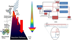 Schematic of the Ultra TR ᴹ PS laser triggering arrangement when using the 10 kHz and 1 kHz regenerative amplifiers.